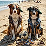 accessories, animal, beach, cans, cap, casual, cool, denim_jacket, dog, funny, leather_jacket, outdoor, pet, posing, sand, snacks, soccer_ball, summer, sunglasses, sunny
