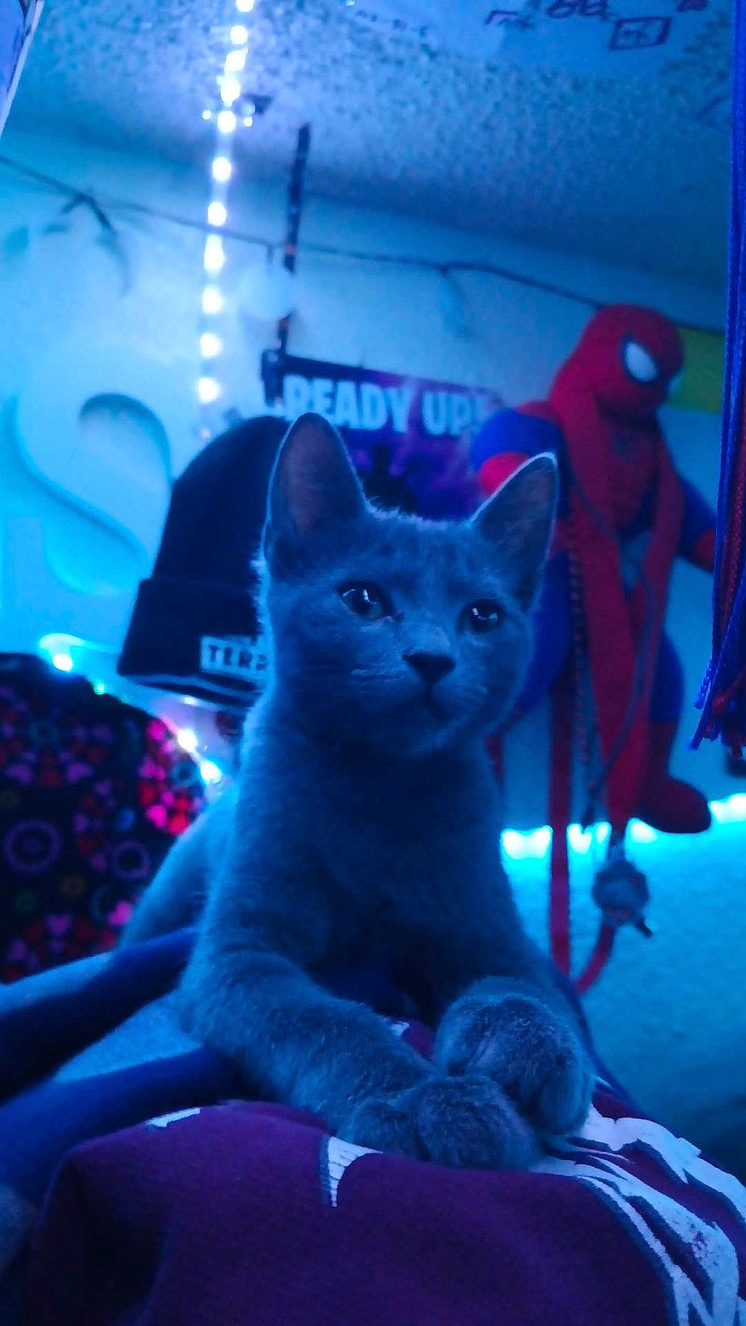 Luna