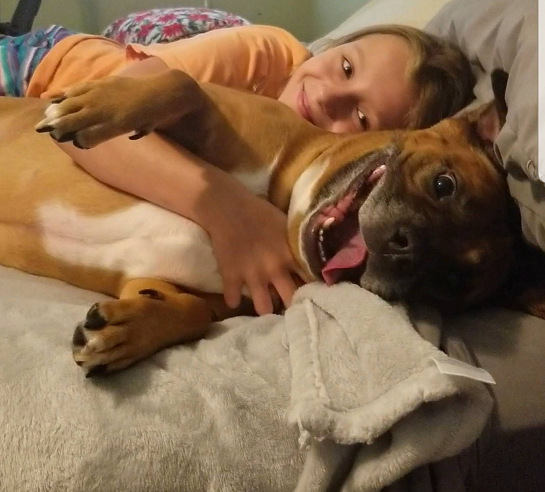 Sallyjac joined the competition — help win amazing prizes! canidae, carnivore, comfort, companion_dog, dog, dog_breed, ear, fawn, fur, guard_dog, happy, jaw, nap, non_sporting_group, room, selfie, snout, sporting_group, whiskers, working_animal