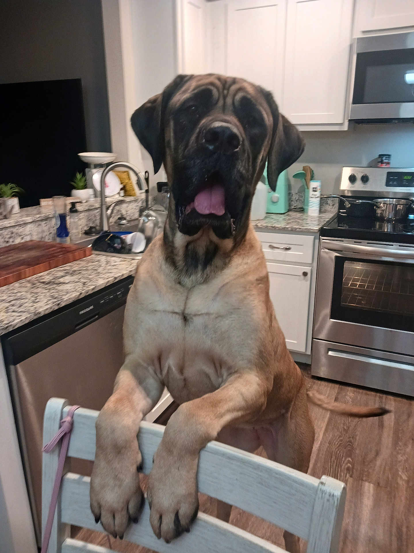 Kita