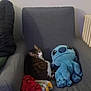 cat, armchair, plush_toy, indoor, furniture, radiator, fabric, tabby_cat, gray, blue, green, jacket, wall, cozy, stuffed_animal, pet, relaxing, seated, living_room, domestic