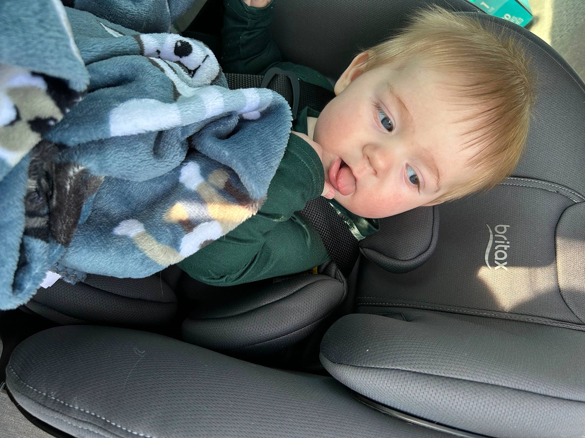 Stephen is registered to the contest to win money with this photo: auto_part, baby, baby_carriage, baby_in_car_seat, baby_products, baby_safety, baby_toddler_clothing, car_seat, car_seat_cover, child, comfort, electric_blue, face, grey, head, lap, person, seat_belt, sitting, smile