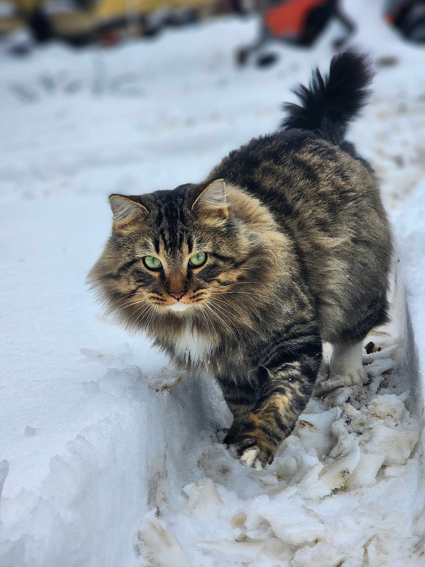 Fluffy