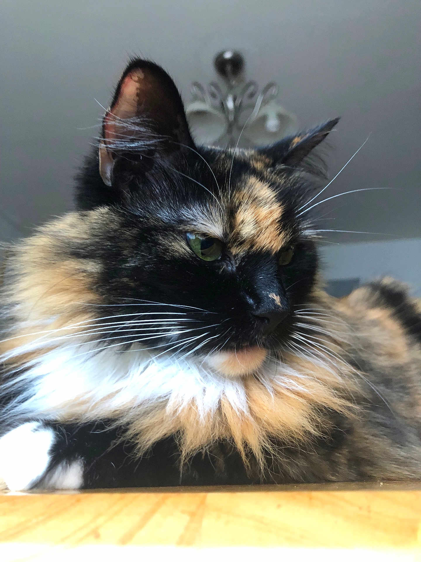 Fuzzy