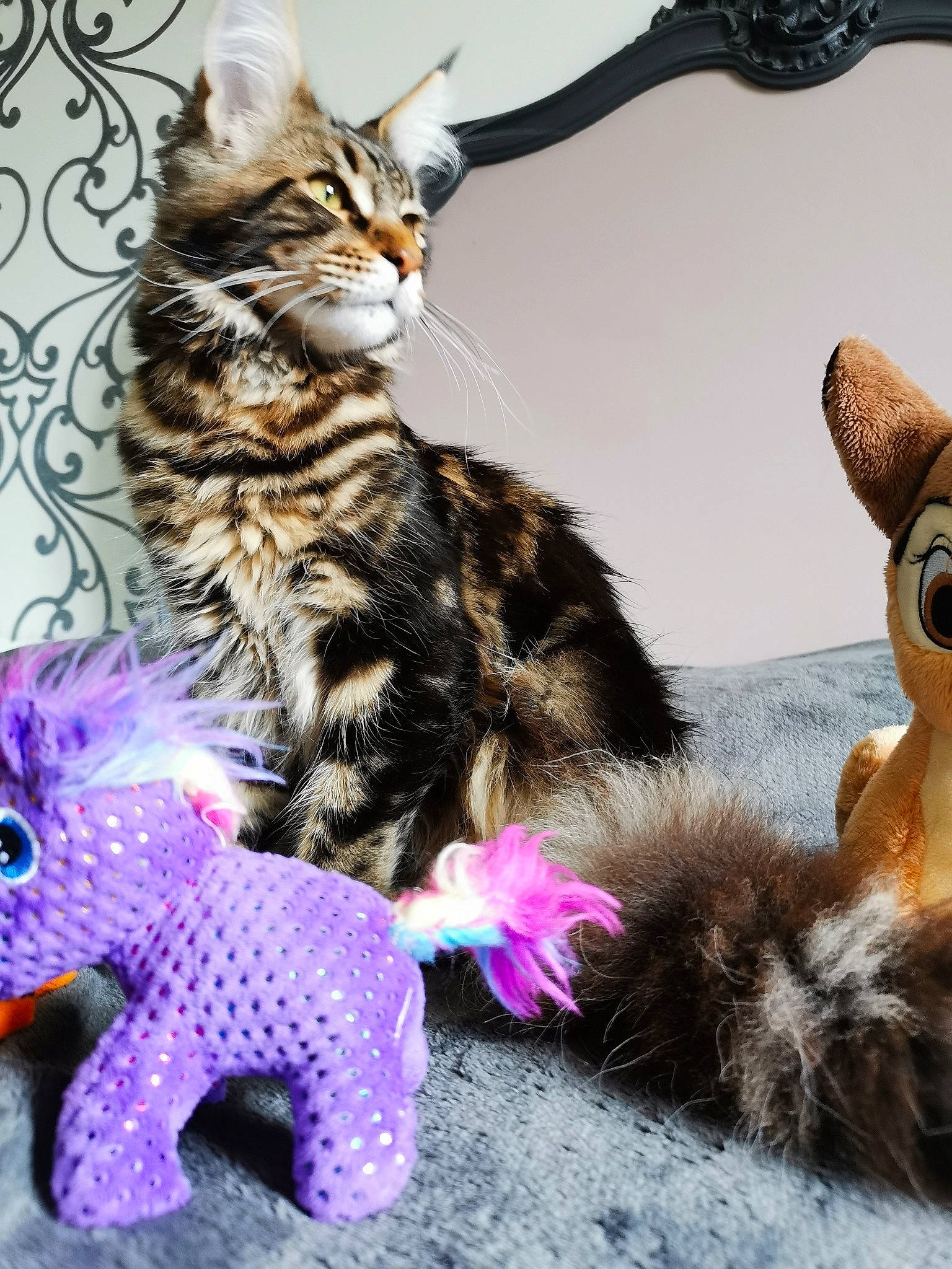 Thaï participe au concours pour gagner de l'argent avec cette photo : art, carnivore, cat, claw, domestic_short_haired_cat, fashion_accessory, fawn, felidae, fictional_character, fur, magenta, pattern, paw, photo_caption, plush, small_to_medium_sized_cats, stuffed_toy, tail, toy, whiskers