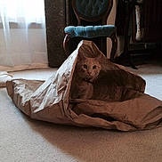 Sperry joined the competition — help win amazing prizes!