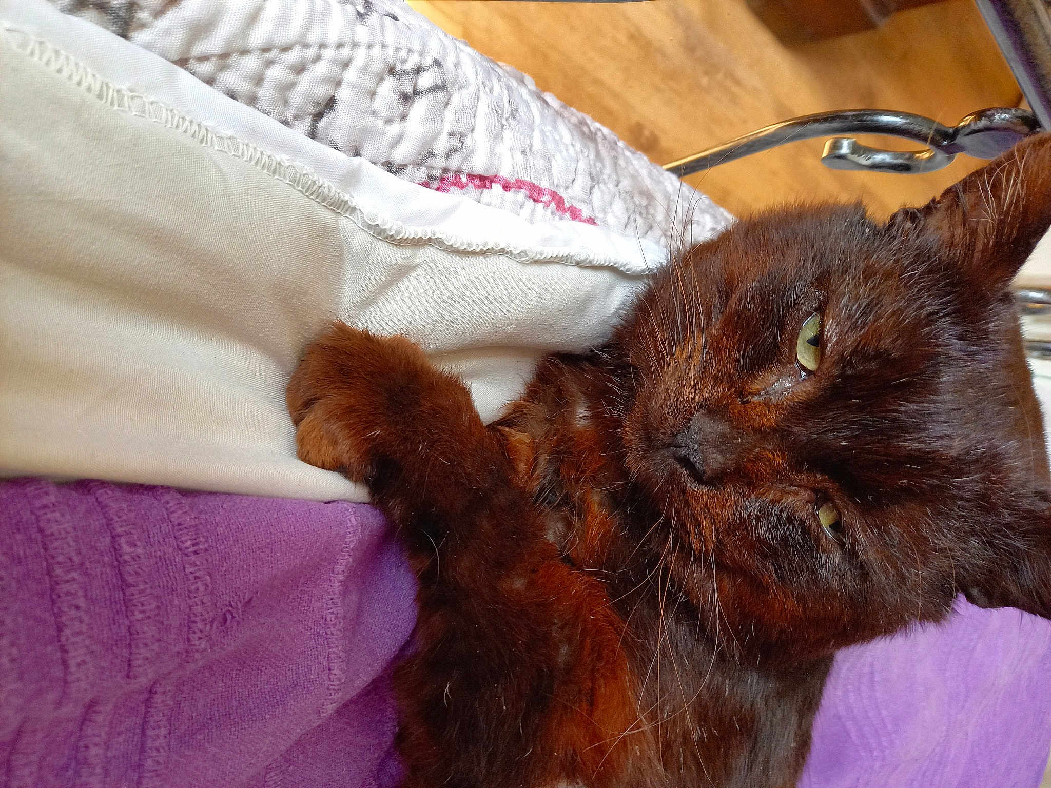 Doudou