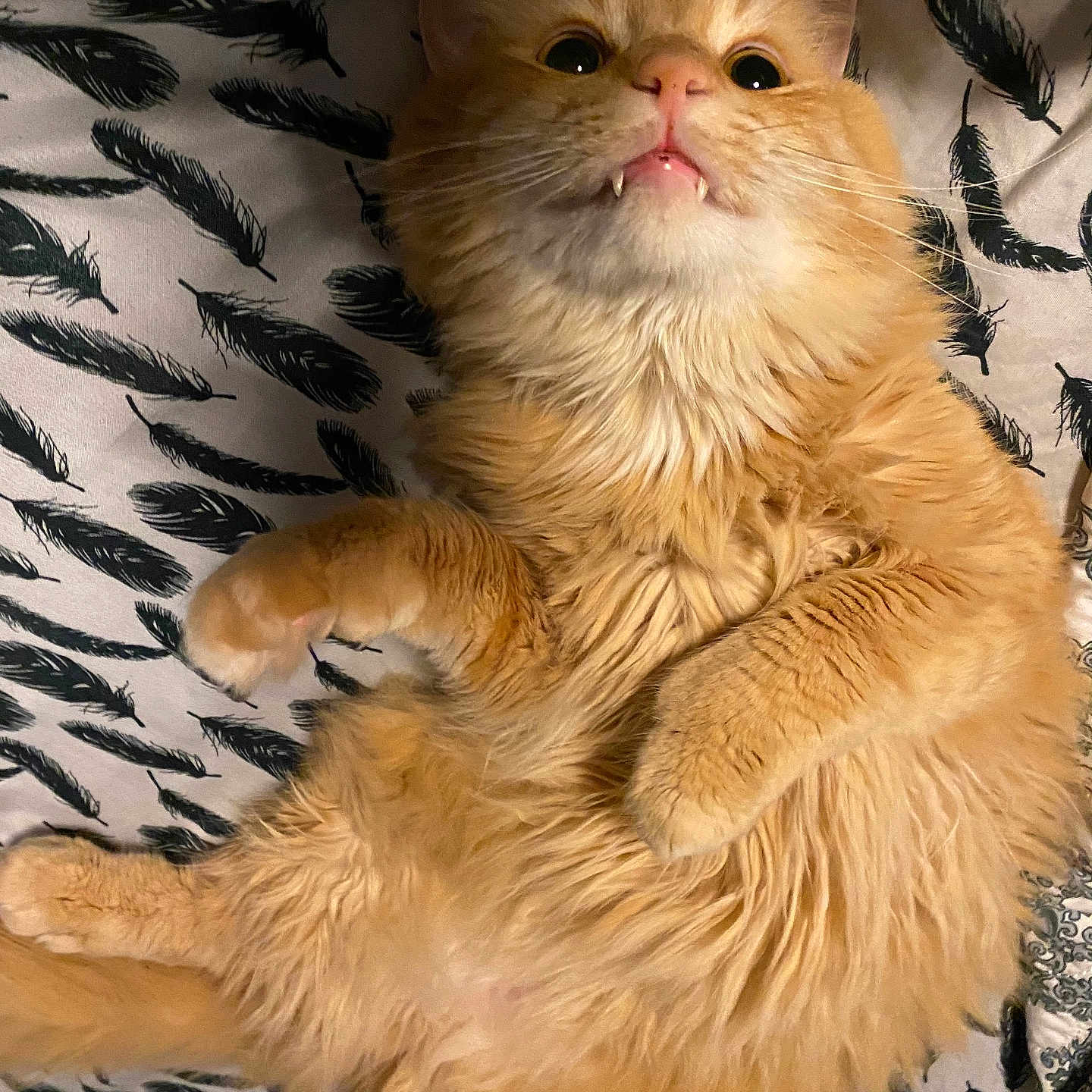 Nugget