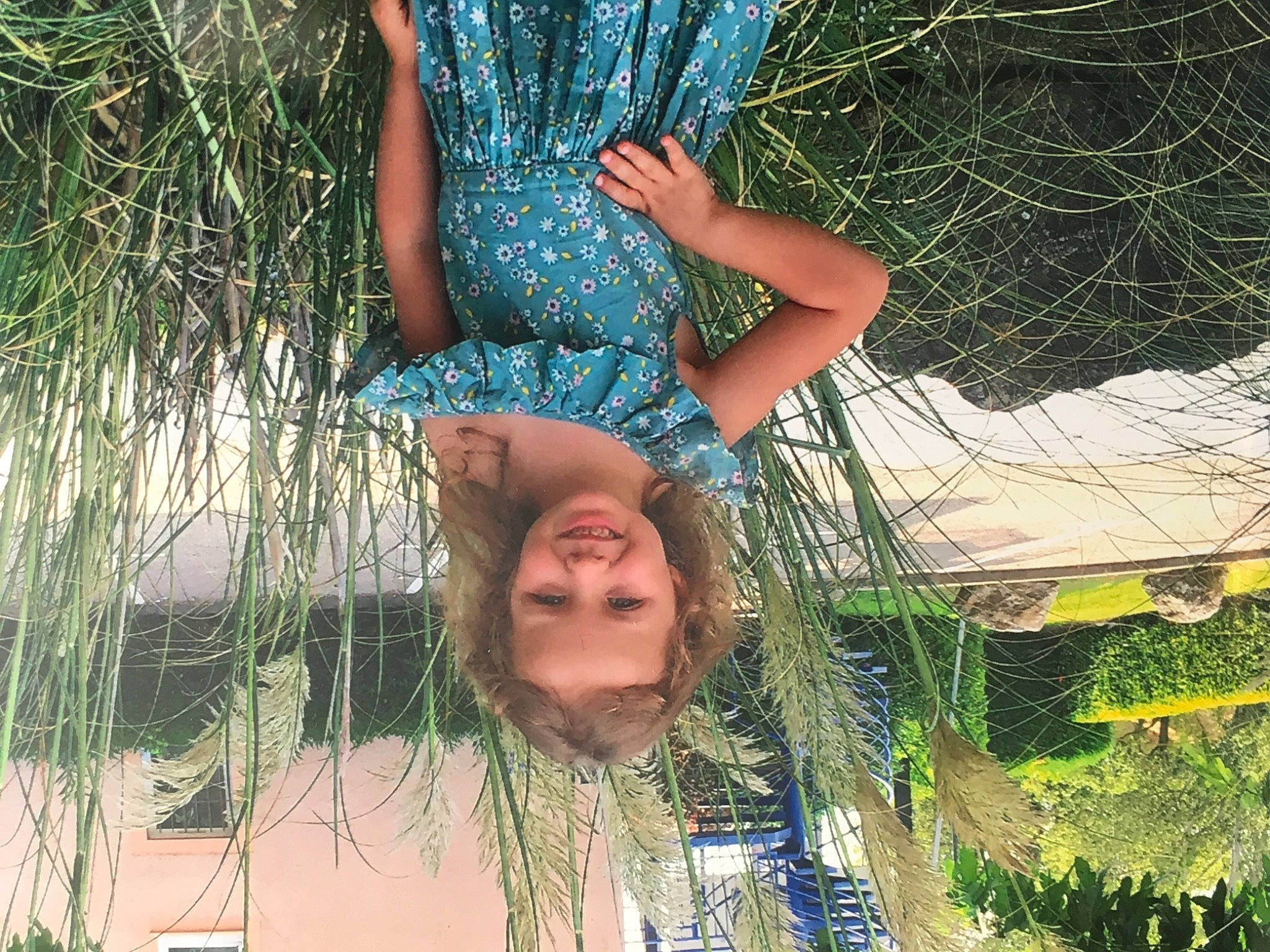 Amy participe au concours pour gagner de l'argent avec cette photo : adaptation, beauty, blue, botany, branch, fun, grass, grass_family, hairstyle, happy, human_leg, joy, leisure, nature, organism, people_in_nature, person, plant, summer, thigh