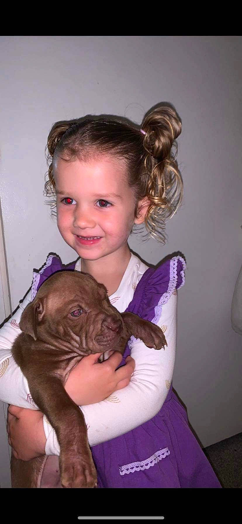 Alexis joined the competition — help win amazing prizes! brown_hair, child, companion_dog, dog_breed, dress, ear, fawn, felidae, fur, gesture, hair, happy, head, joy, long_hair, neck, person, pink, purple, skin