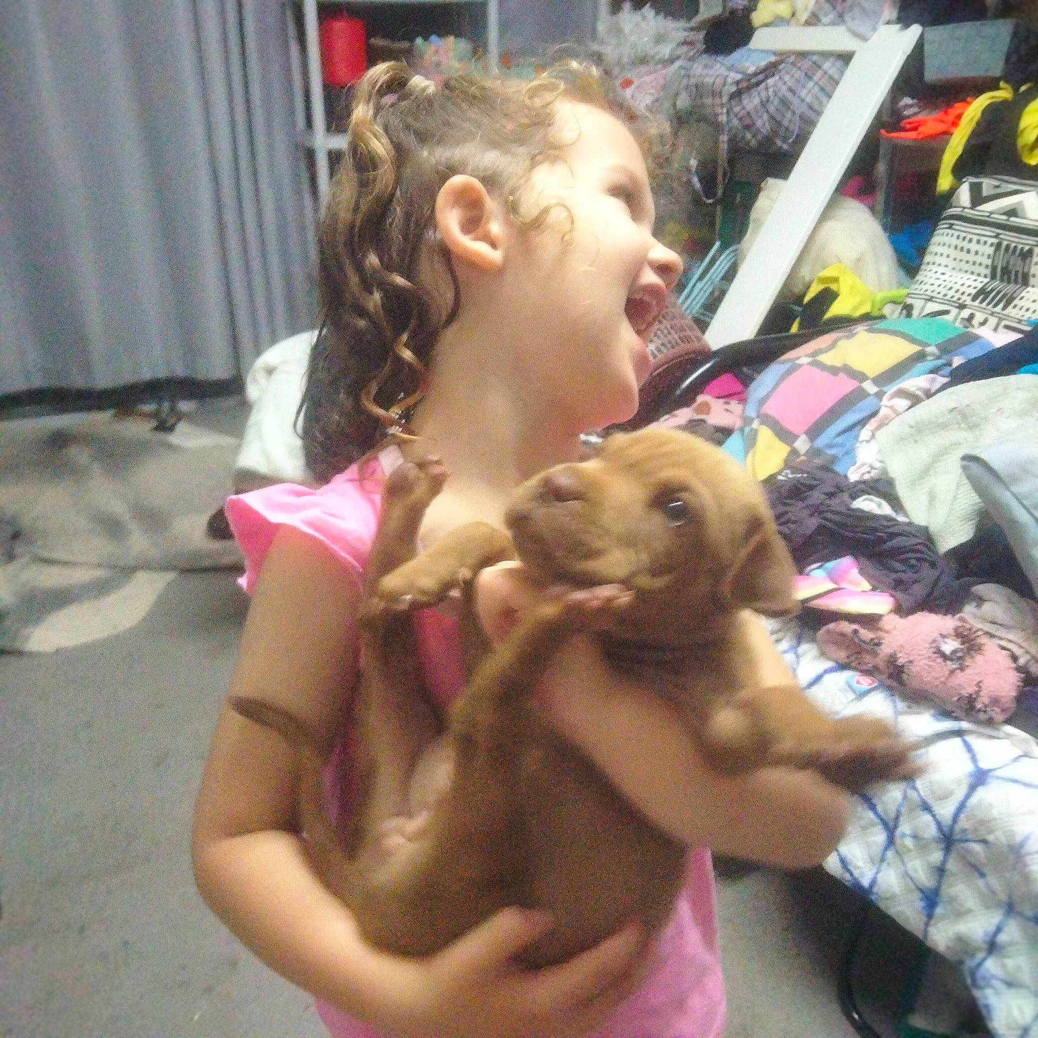 Alexis joined the competition — help win amazing prizes! art, canidae, child, companion_dog, curtain, event, fawn, fun, fur, happy, leisure, person, shorts, sitting, smile, stuffed_toy, t_shirt, toddler, toy, vacation