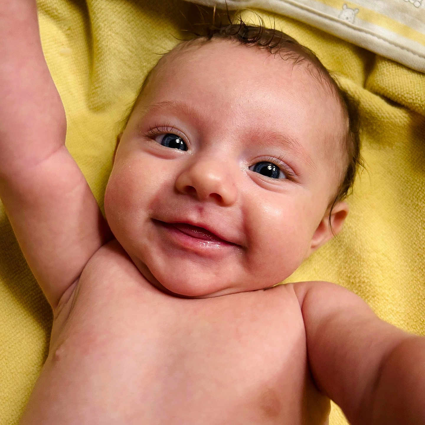 Mylee joined the competition — help win amazing prizes! arm, baby, baby_face, baby_skin, blanket, child, closeup, cute, expression, eyes, face, happy, human, infant, lying_down, newborn, portrait, skin, smiling, yellow