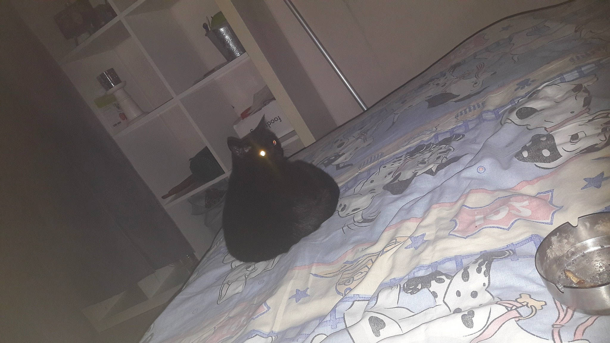 Bouh a rejoint le concours — aidez-le/la à gagner de superbes lots ! art, automotive_design, bean_bag_chair, ceiling, darkness, floor, flooring, grey, houseplant, interior_design, lamp, linens, purple, room, space, tints_and_shades, visual_arts, wall, wood, world