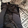 animal, black_cat, cat, comfort, companion, cozy, cute, dog, floor_tiles, fluffy_dog, friendship, fur, home, indoors, lap, paw, pet, relaxing, resting, sleeping
