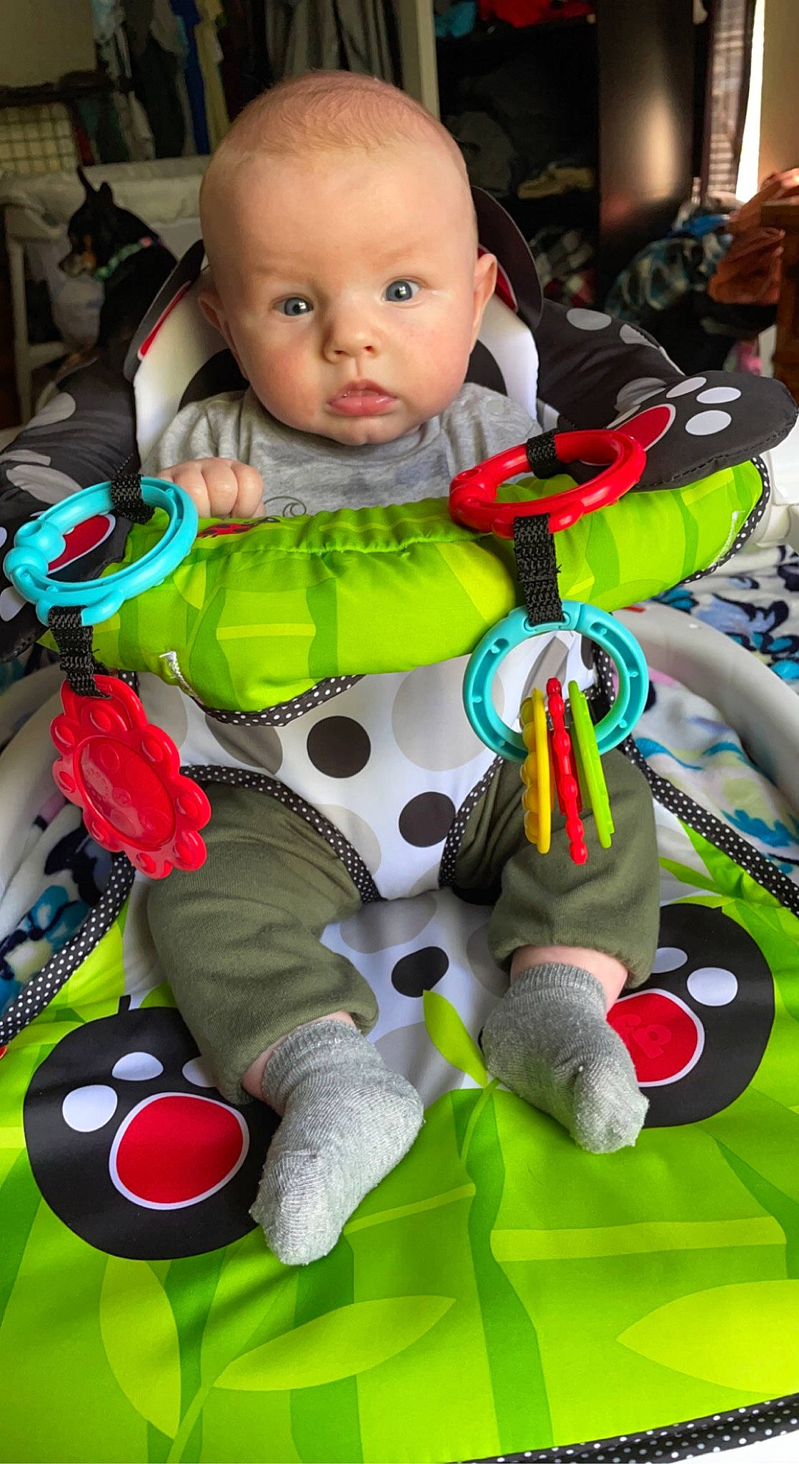 Graysen is registered to the contest to win money with this photo: baby, baby_products, baby_toddler_clothing, baby_toys, cheek, child, fun, green, happy, head, person, photograph, product, red, skin, snapshot, stuffed_toy, textile, toddler, toy