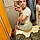 Hayley P.
