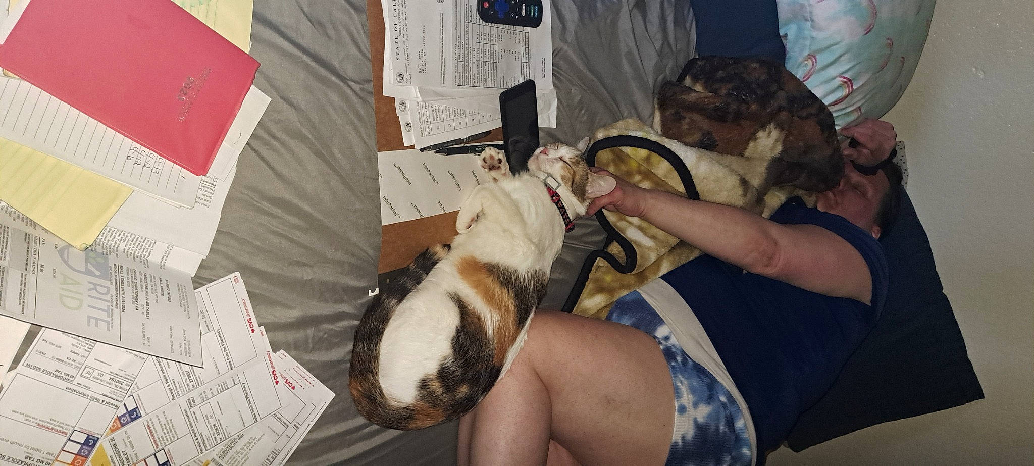 Random is registered to the contest to win money with this photo: canidae, comfort, companion_dog, dog, dog_breed, felidae, fur, guinea_pig, human_leg, knee, lap, nail, paw, service, sporting_group, thigh, wrist