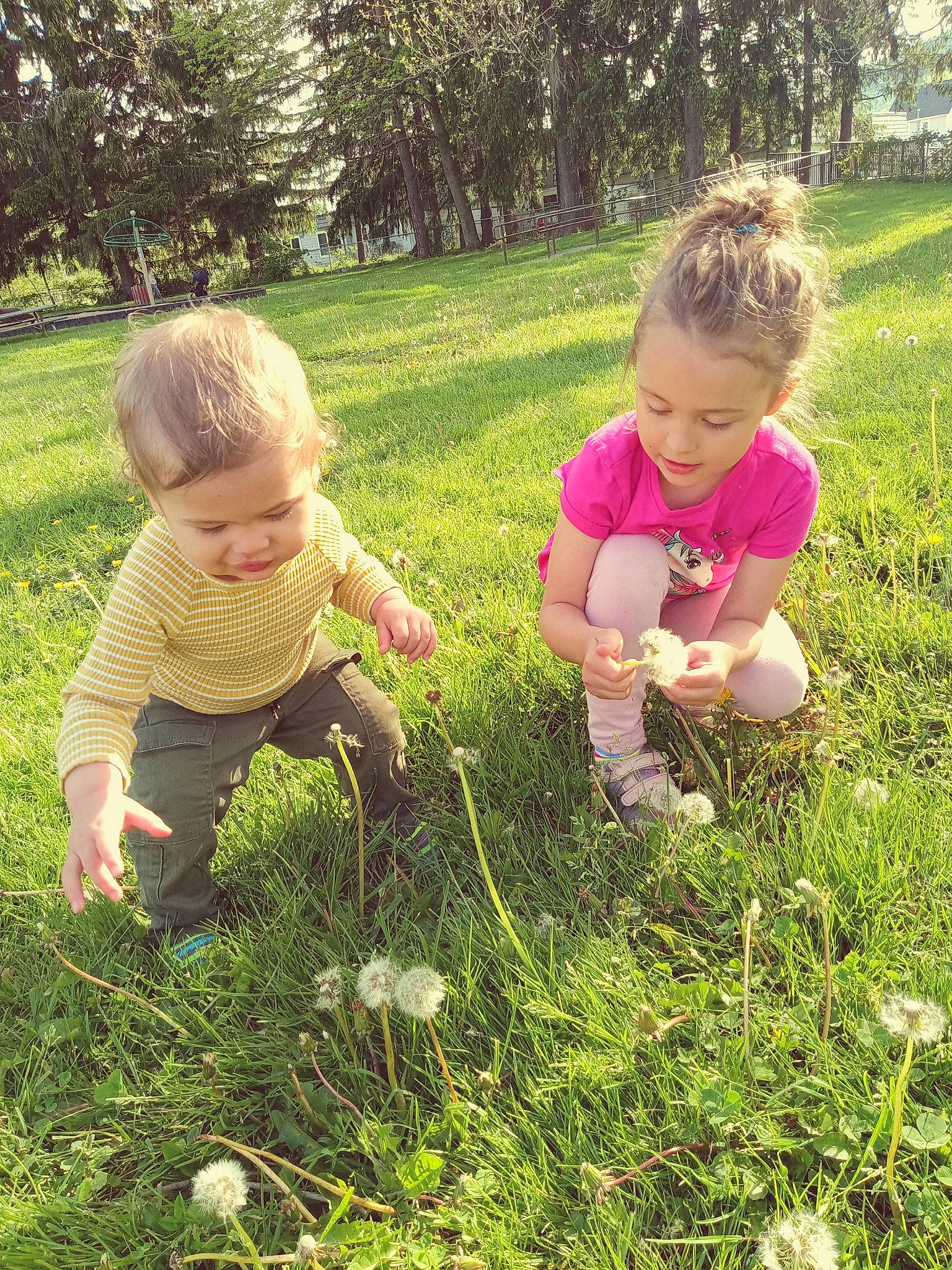 Alistair is registered to the contest to win money with this photo: baby, child, grass, grass_family, grassland, groundcover, happy, landscape, lawn, meadow, natural_environment, natural_landscape, people_in_nature, person, plant, sharing, summer, terrestrial_plant, toddler, tree