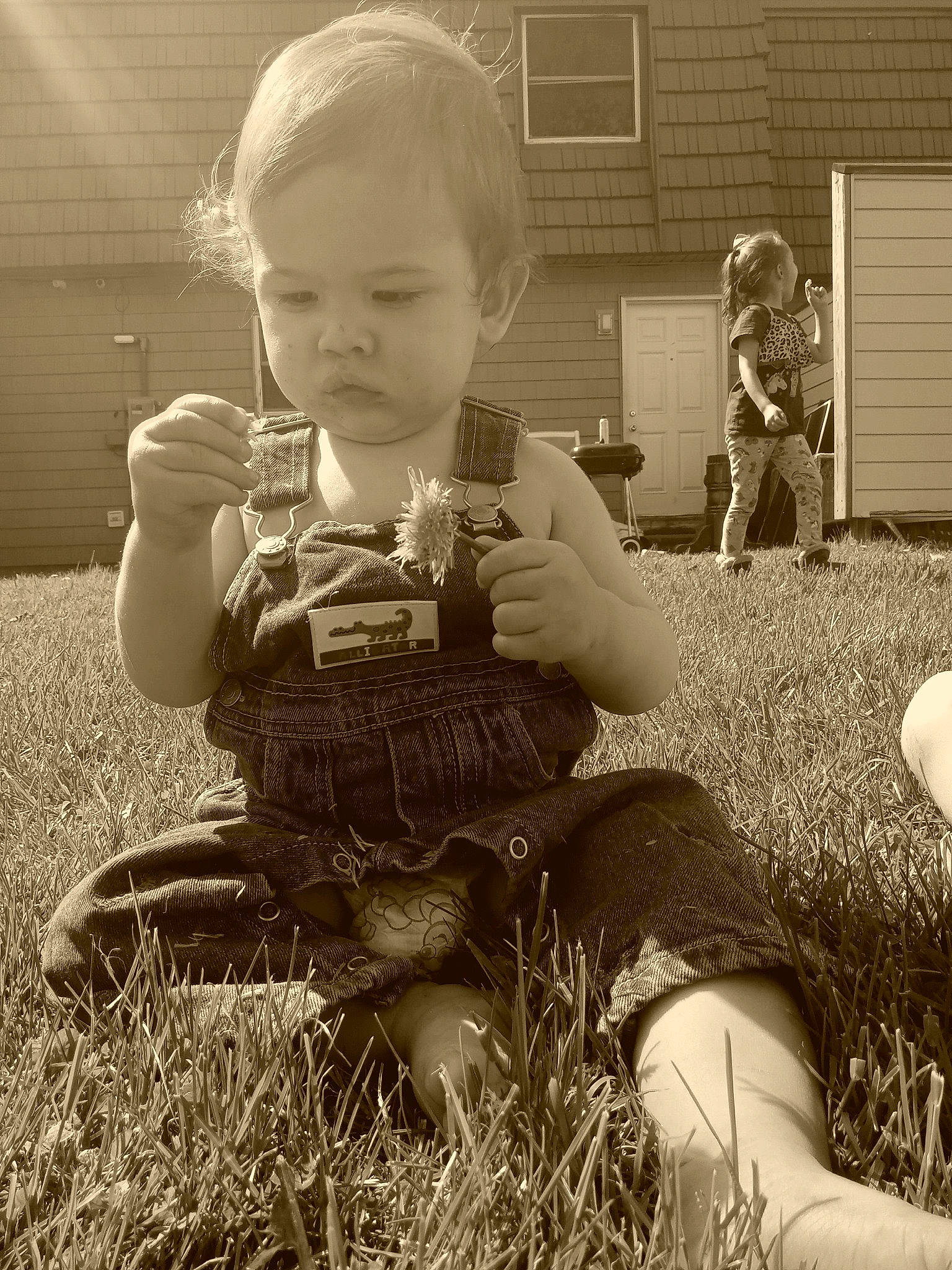 Alistair is registered to the contest to win money with this photo: black, blond, chair, child, fun, grass, hand, happy, human_leg, monochrome, monochrome_photography, people_in_nature, person, plant, sitting, standing, style, toddler, vertebrate, vintage_clothing