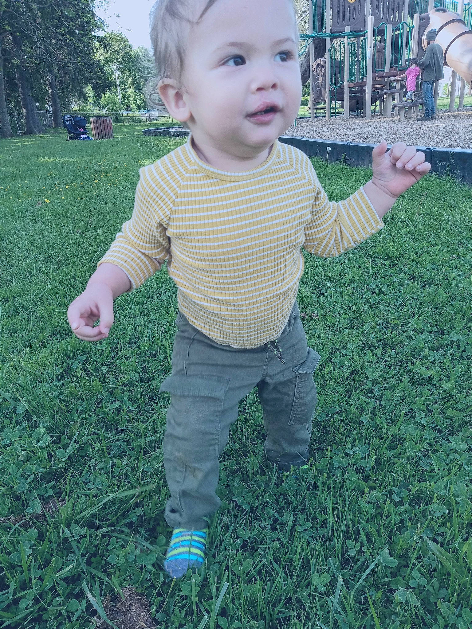 Alistair is registered to the contest to win money with this photo: baby, baby_toddler_clothing, child, cool, eye, face, fun, garden, grass, green, groundcover, happy, head, lawn, nose, people_in_nature, person, plant, sleeve, standing