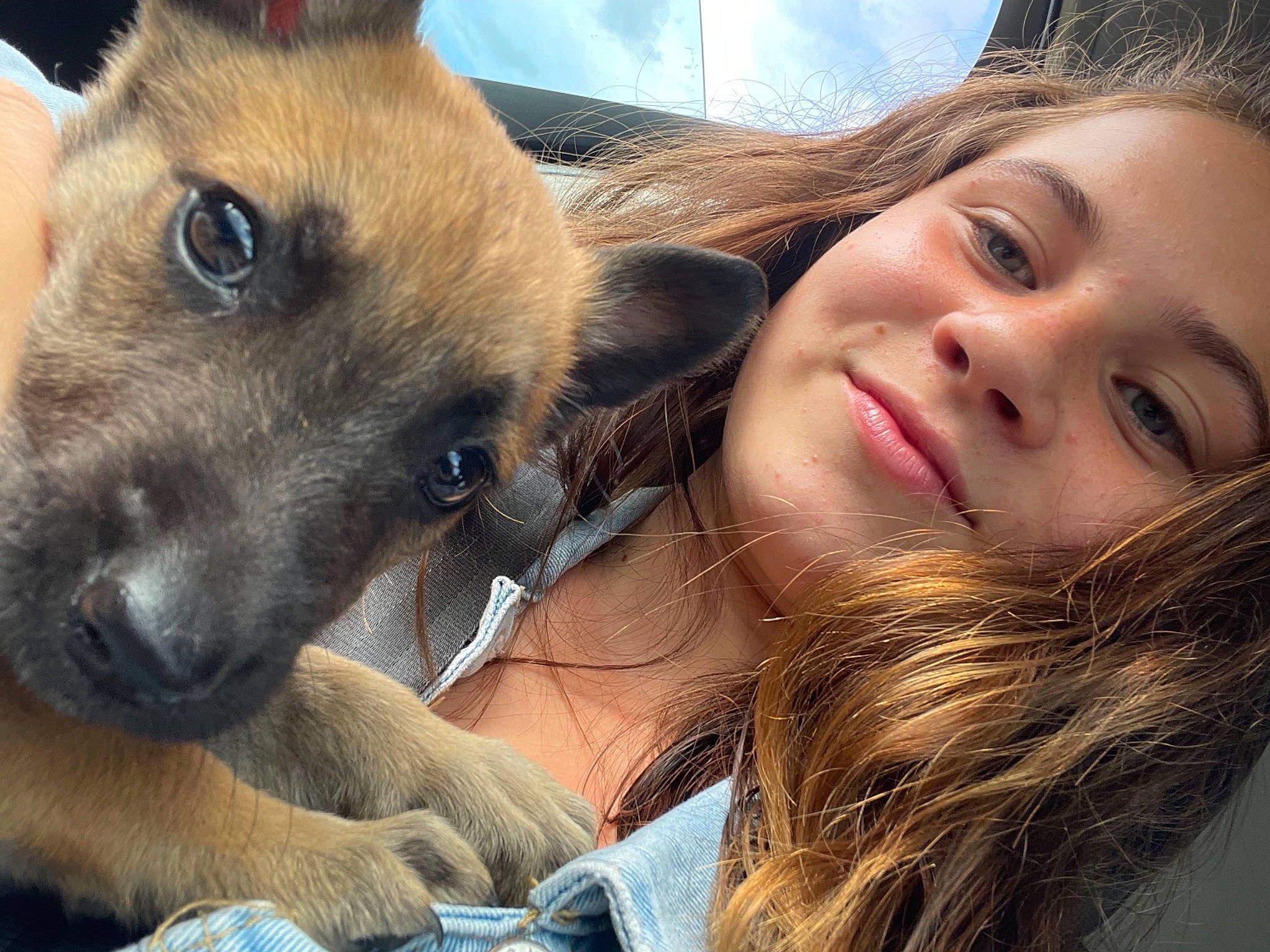 Tyson a rejoint le concours — aidez-le/la à gagner de superbes lots ! carnivore, companion_dog, dog, dog_breed, ear, eyelash, face, fawn, fur, happy, head, nose, organ, selfie, skin, smile, snout, sporting_group, throat, whiskers