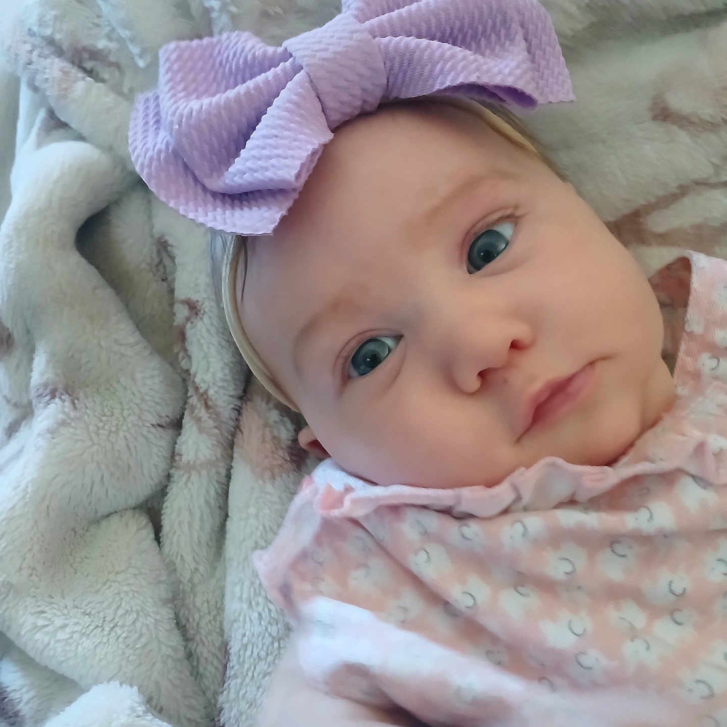 Belladonna joined the competition — help win amazing prizes! baby, child, infant, bow, blanket, soft, cute, blue_eyes, face, portrait, clothing, pink, headwear, cozy, expression, person, newborn, closeup, indoor, sleepwear