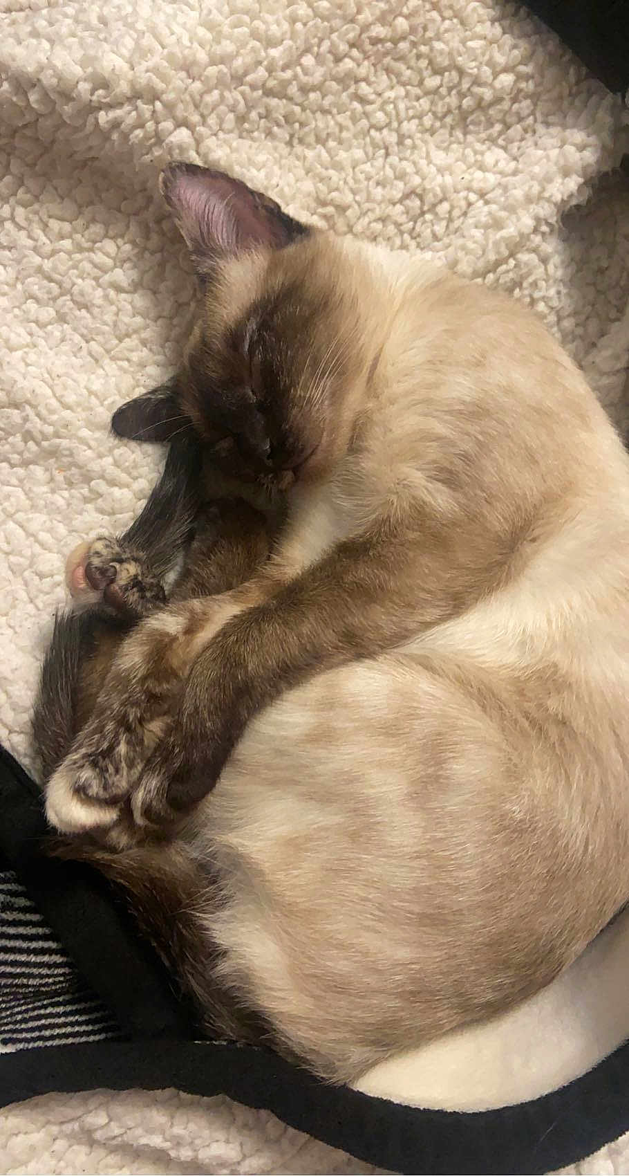 Nala
