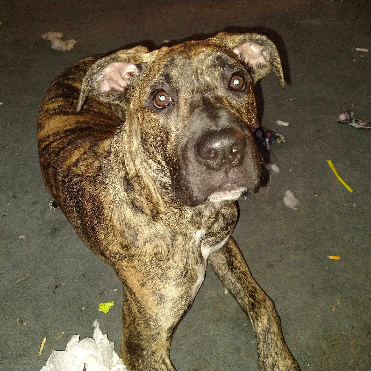 Buster