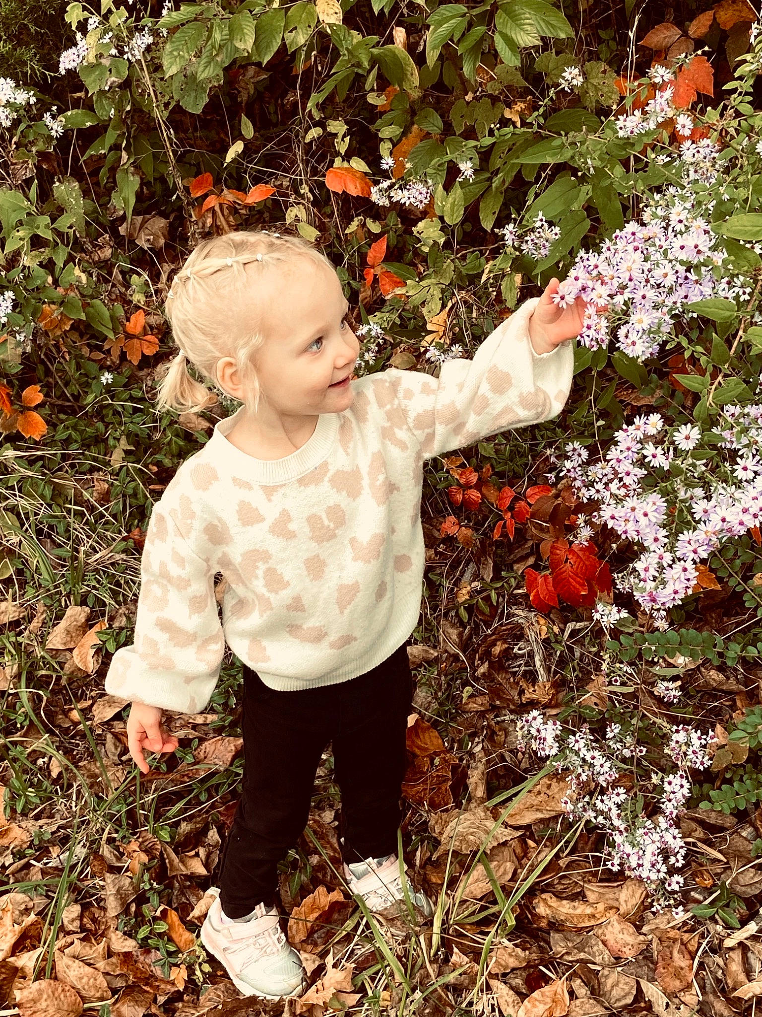 Ivy joined the competition — help win amazing prizes! annual_plant, autumn, baby, baby_toddler_clothing, botany, child, coquelicot, deciduous, flowering_plant, garden, grass, groundcover, happy, joy, people_in_nature, person, plant, portrait_photography, rose_family, shrub