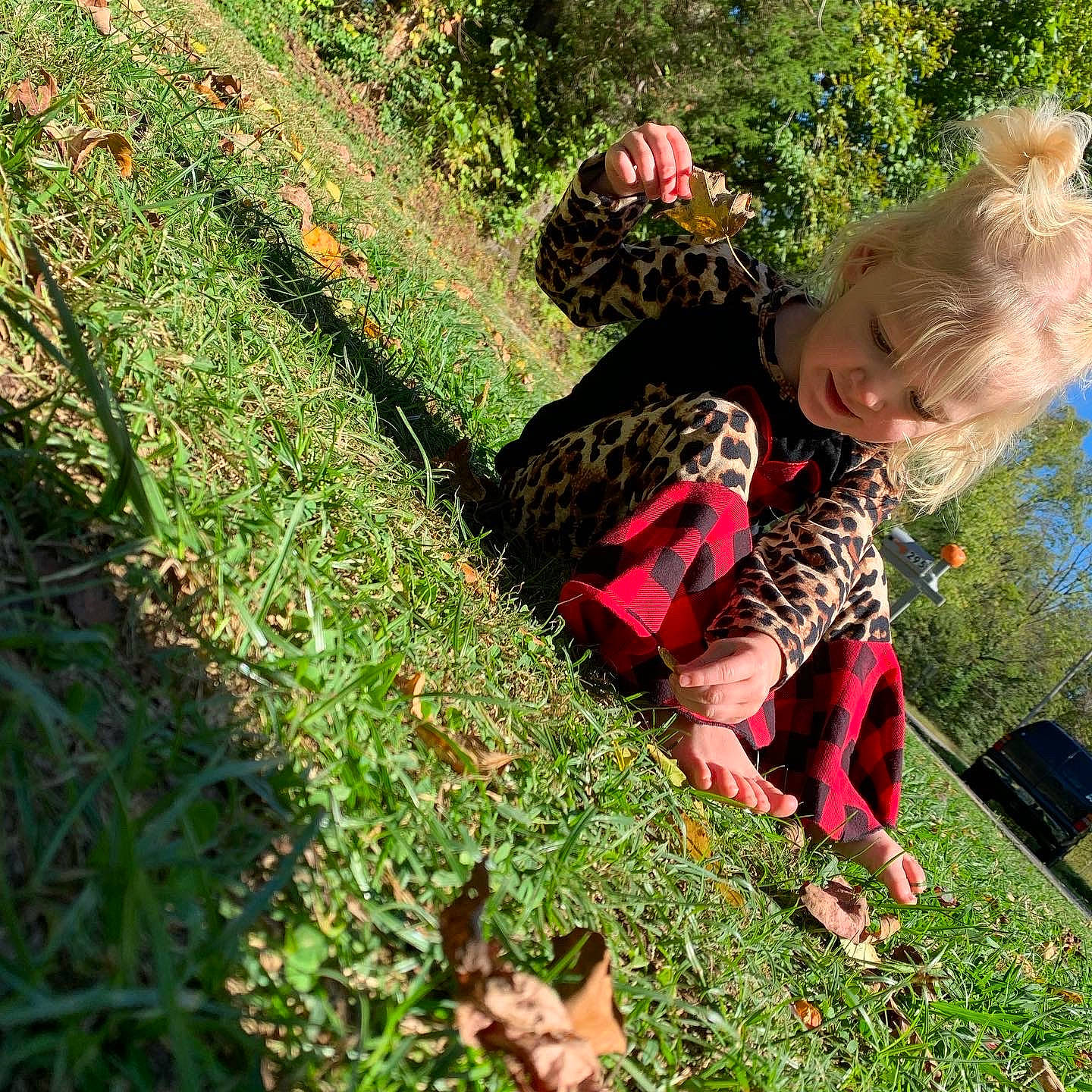 Ivy is registered to the contest to win money with this photo: baby, fun, grass, grass_family, grassland, green, groundcover, happy, landscape, lawn, leisure, meadow, people_in_nature, person, plant, shrub, soil, spring, sunglasses, toddler