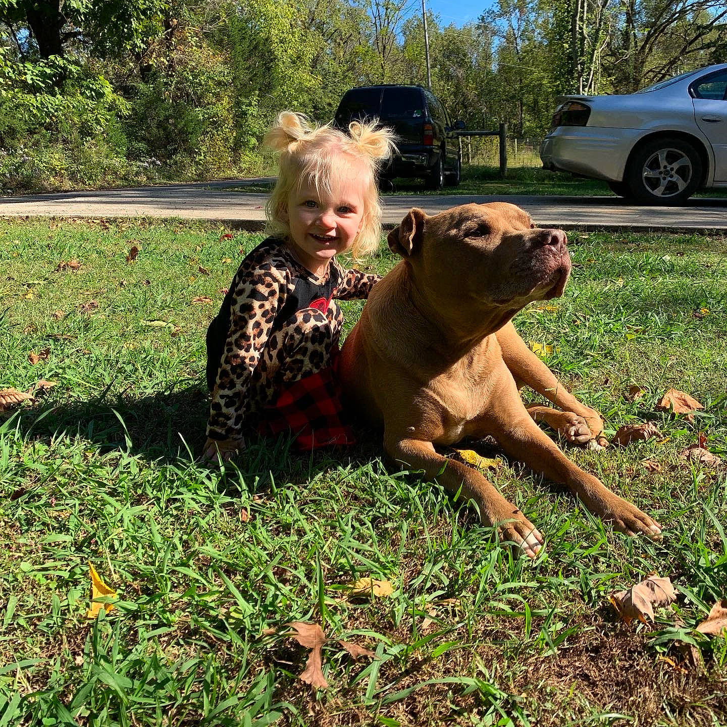 Ivy is registered to the contest to win money with this photo: car, carnivore, companion_dog, dinosaur, dog_breed, fawn, grass, happy, joy, lawn, people_in_nature, person, plant, reptile, sky, tail, terrestrial_animal, tire, toad, toddler