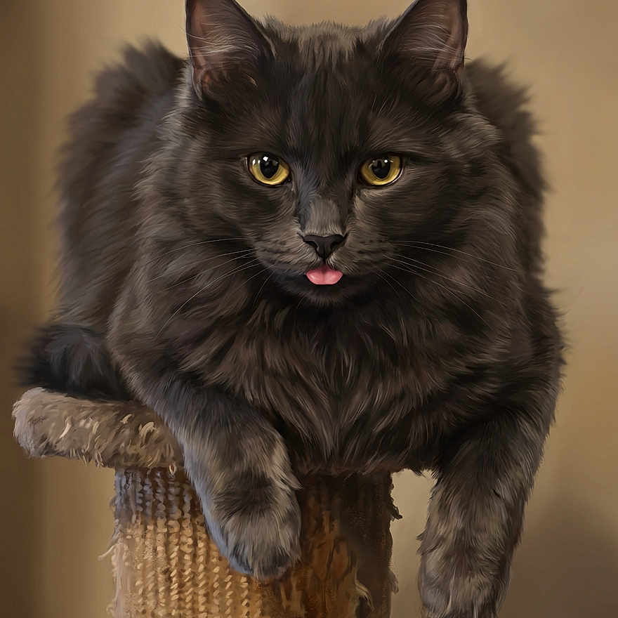 Merlin is registered to the contest to win money with this photo: cat, black_cat, fluffy, tongue_out, scratching_post, pet, feline, animal, cute, relaxed, indoor, portrait, whiskers, ears, paws, fur, yellow_eyes, close_up, resting, playful