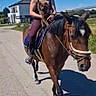 person, horse, dog, helmet, riding, outdoor, road, shadow, building, sky, daytime, animal, pet, casual_clothing, nature, grass, fence, walking, transportation, summer