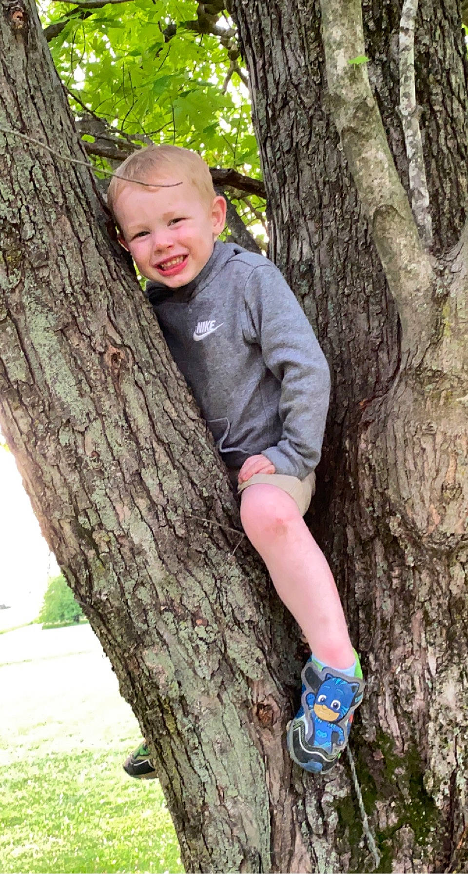 Chase joined the competition — help win amazing prizes! beauty, branch, eye, green, happy, human_body, joint, joy, leisure, nature, organ, people_in_nature, person, recreation, smile, standing, t_shirt, tree, trunk, wood