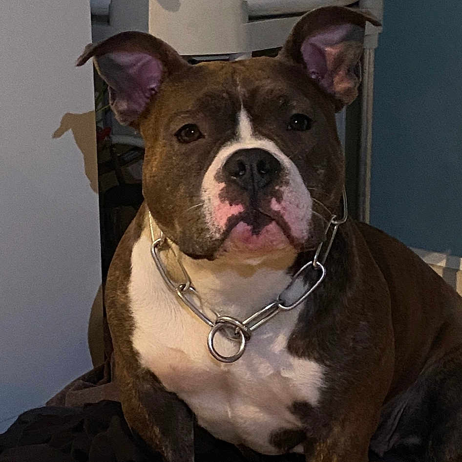 Ruby