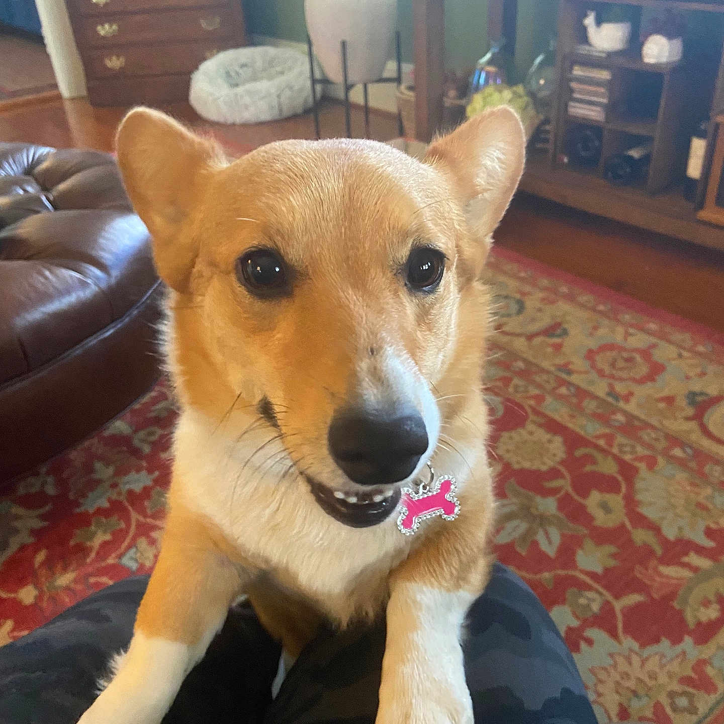 Millie