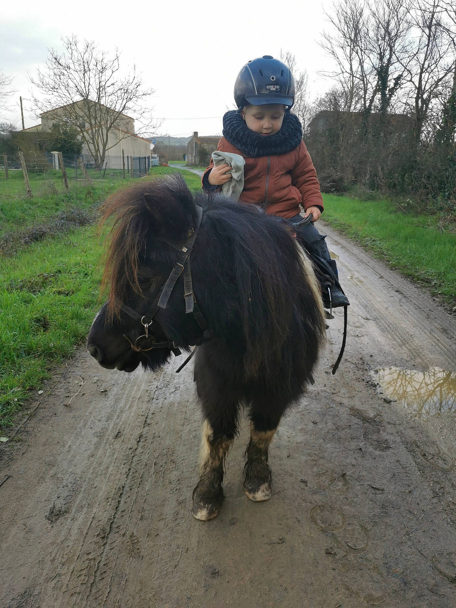 Maël participe au concours pour gagner de l'argent avec cette photo : asphalt, bridle, dog_breed, grass, headwear, horse, horse_supplies, horse_tack, landscape, livestock, mane, mare, pack_animal, person, plant, recreation, rein, shetland_pony, sky, trail