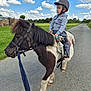 Maël participe au concours pour gagner de l'argent avec cette photo : animal, boots, casual_clothing, child, clouds, daytime, fence, grass, greenery, helmet, horse, lead_rope, nature, outdoor, person, pony, riding, road, sky, toy