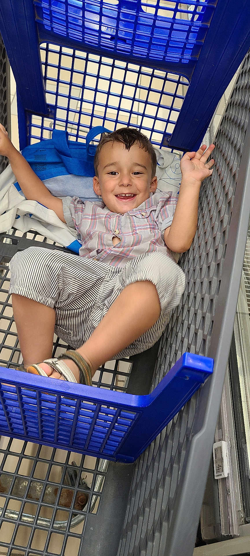 Matheo participe au concours pour gagner de l'argent avec cette photo : child, shopping_cart, smiling, striped_pants, plaid_shirt, blue_plastic, store_aisle, tiled_floor, footwear, happy, person, indoor, retail, casual_clothing, young_child, hands_up, blue_bag, metal_frame, grid_pattern, relaxed