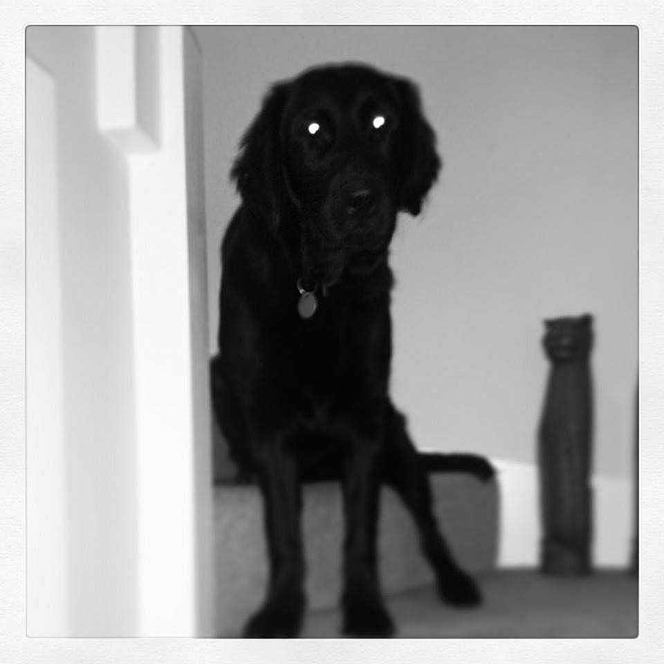 Jack