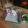 Luna joined the competition — help win amazing prizes! dog, pet_bed, stuffed_toys, blanket, floor, wood_flooring, basket, chew_toys, fireplace, warmth, indoor, small_dog, tan_spots, cozy, relaxed, home, comfort, animal, toy_pig, toy_monkey