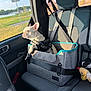 dog, french_bulldog, car, car_interior, pet_booster_seat, sunlight, window, seatbelt, harness, travel, road_trip, pet, seat, toy, gray, black, leash, relaxed, daytime, vehicle