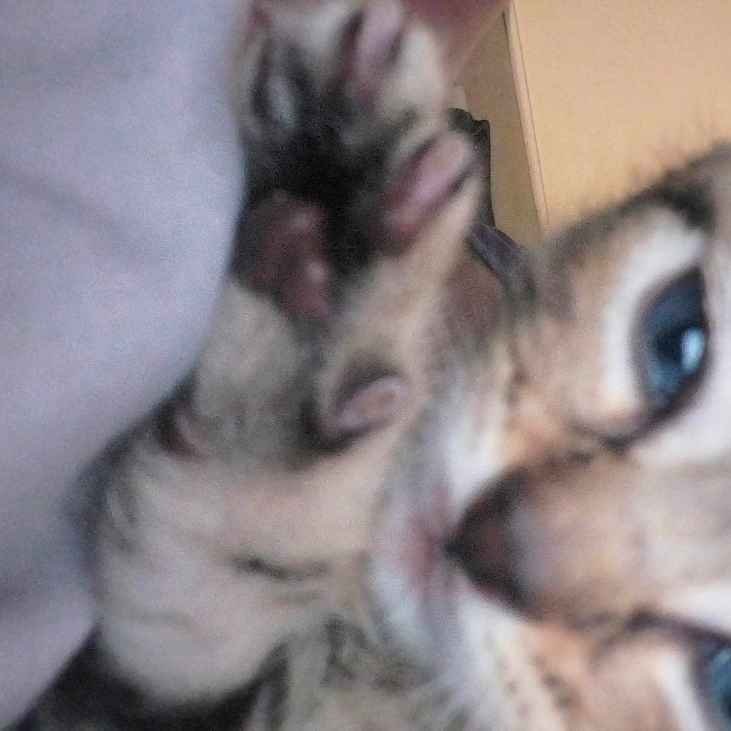 Theo