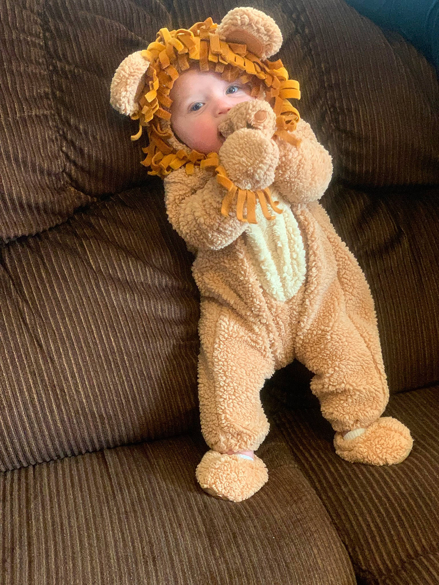 Lawrence joined the competition — help win amazing prizes! art, baby_toddler_clothing, brown_hair, child, doll, eye, fashion_accessory, fawn, figurine, fur, head, headpiece, peach, person, sitting, sleeve, stuffed_toy, toy, vintage_clothing, wig