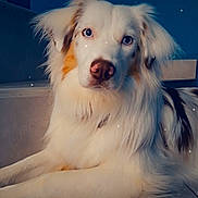 Vanille participe au concours pour gagner de l'argent avec cette photo :