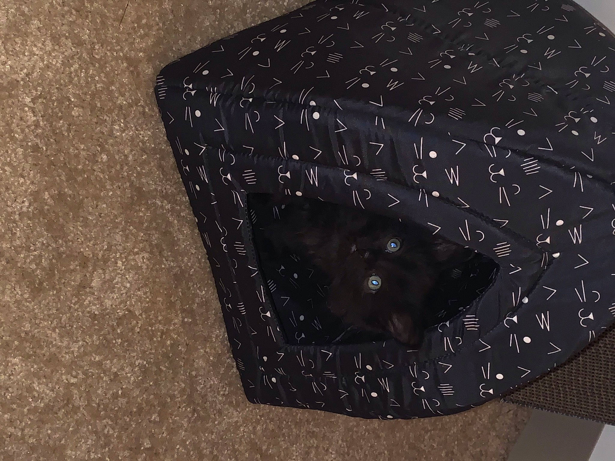 Silas is registered to the contest to win money with this photo: black, square