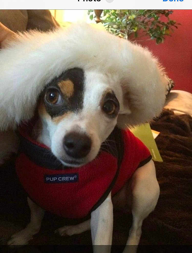 Sadie