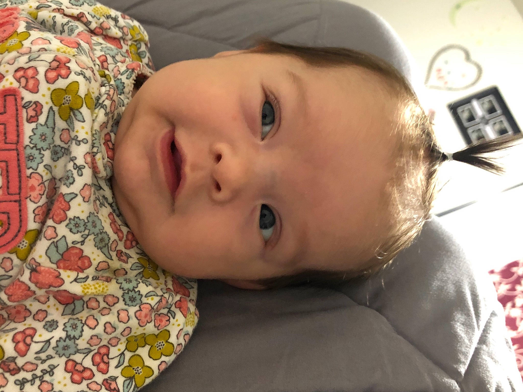 Brookelynn joined the competition — help win amazing prizes! baby, baby_toddler_clothing, cheek, child, chin, clock, comfort, eye, eyebrow, eyelash, forehead, happy, iris, lip, mouth, nose, person, plant, skin, smile