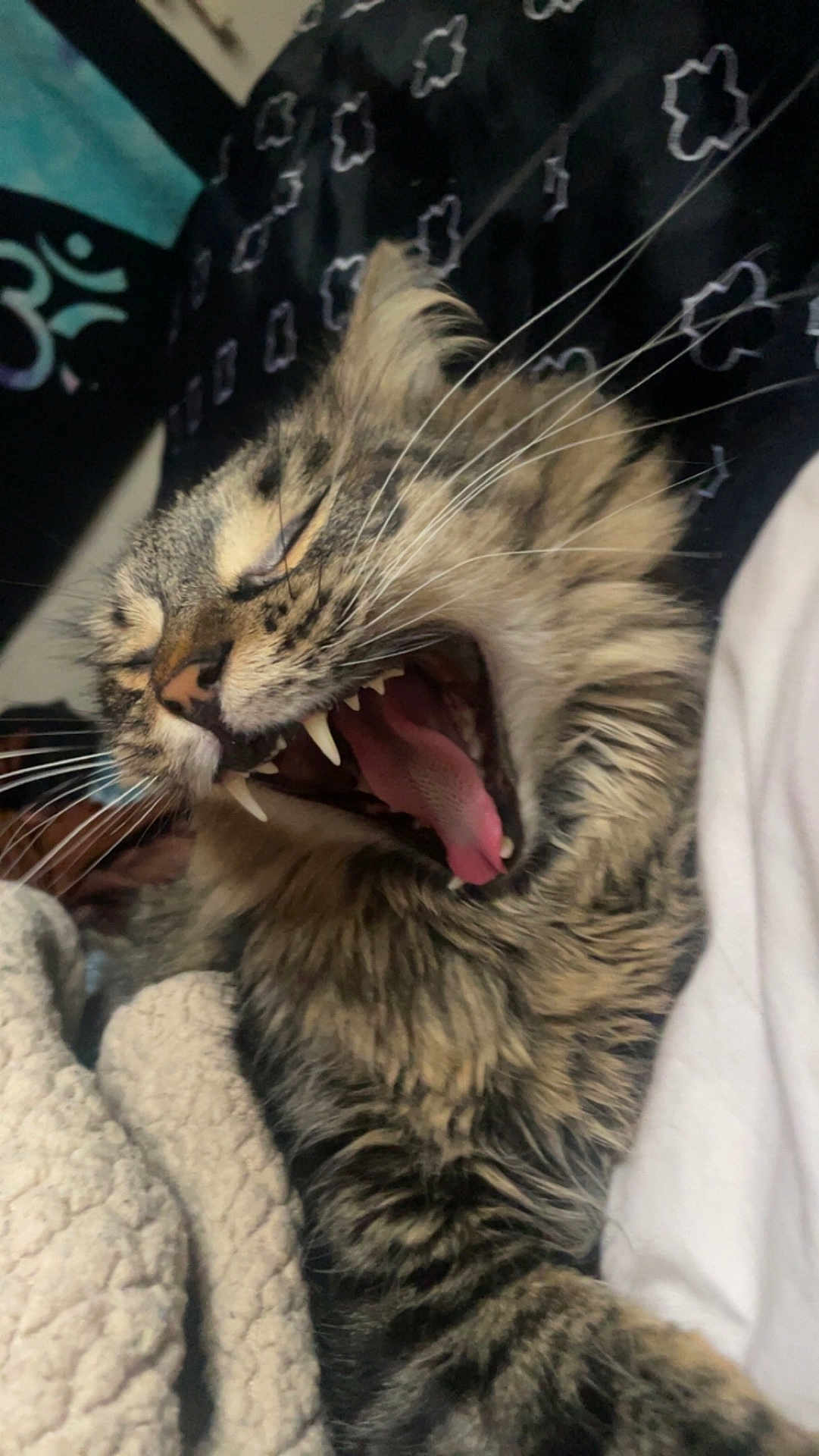 Chester