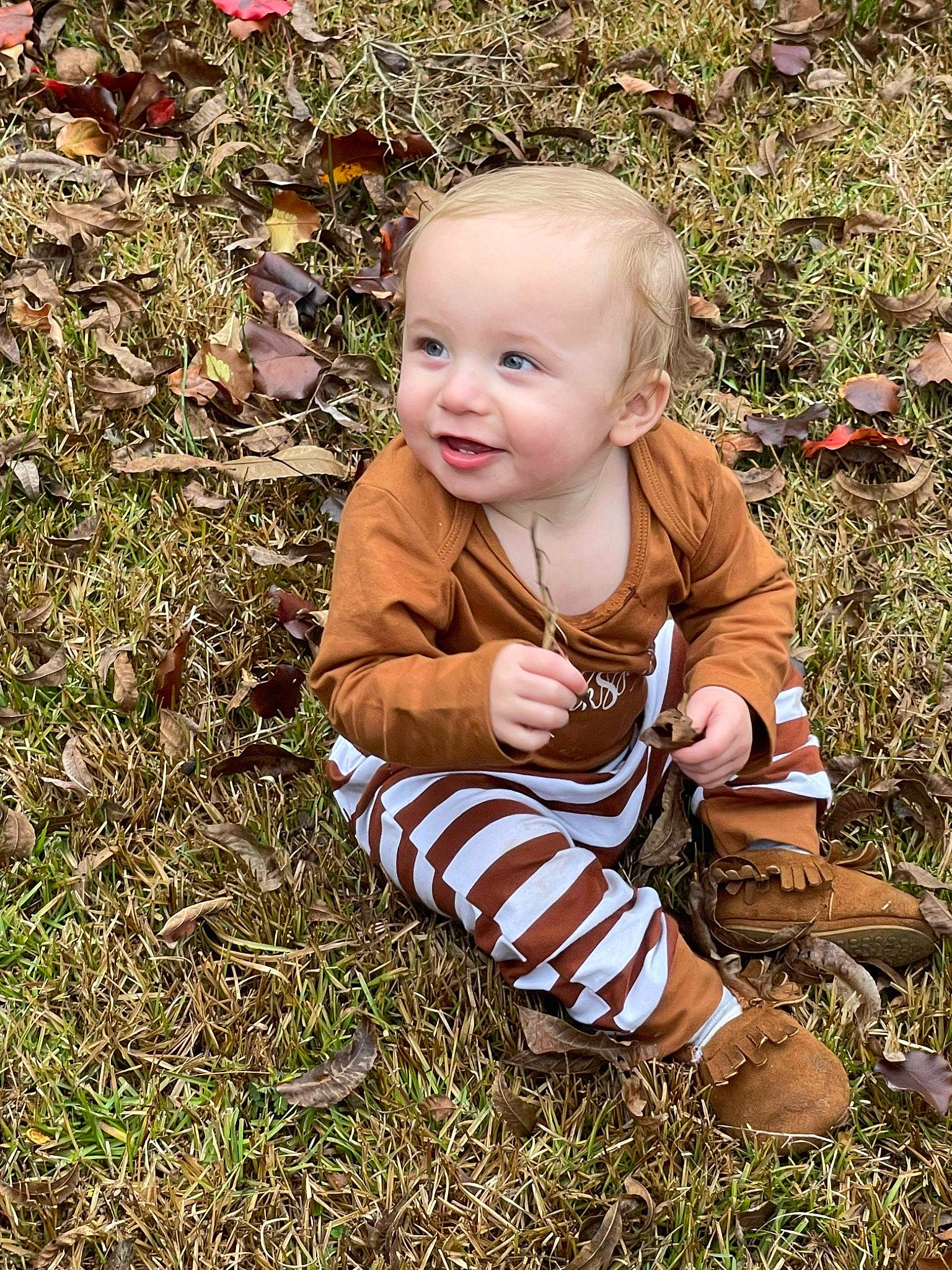 Huxley joined the competition — help win amazing prizes! autumn, baby, baby_toddler_clothing, chair, child, eye, fun, grass, grass_family, happy, lawn, leaf, people_in_nature, person, plant, sitting, smile, soil, toddler, tree
